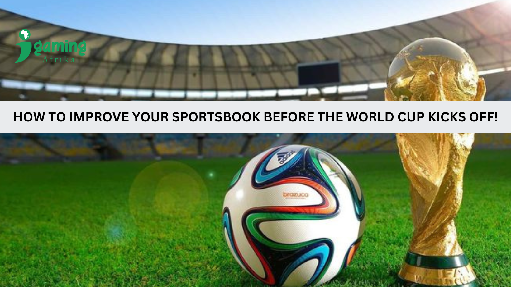 How to improve your Sportsbook before the world cup kicks off in November!